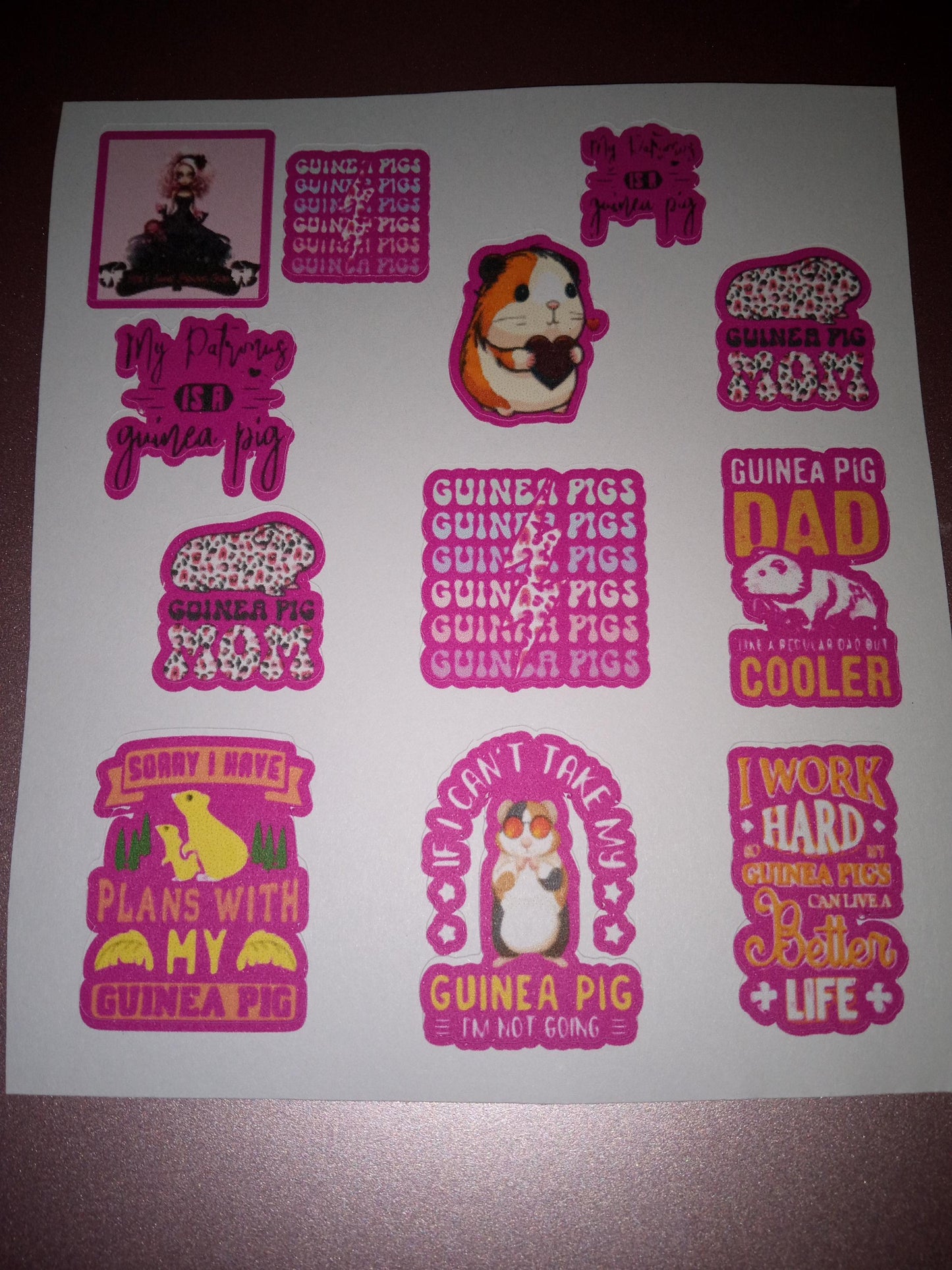 Guinea Pig Sticker Sheet