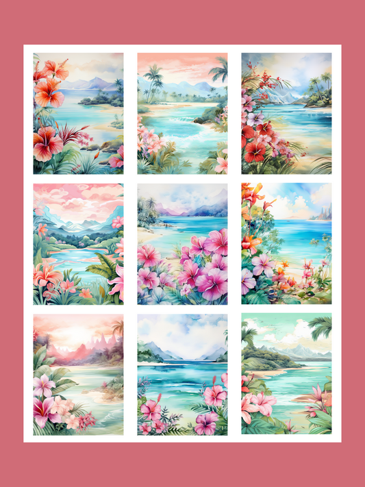 Pastel Tropical Beach Boxes