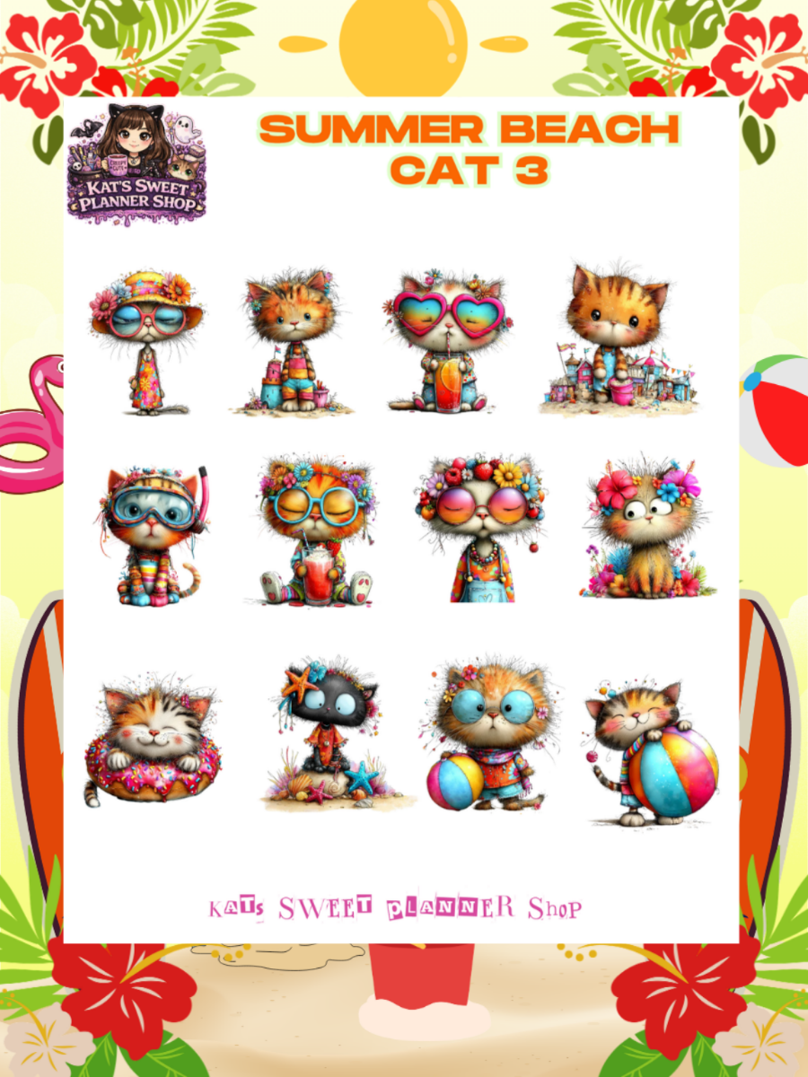 Summer Beach Cat
