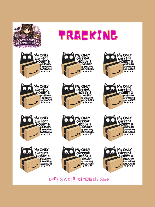 Tracking